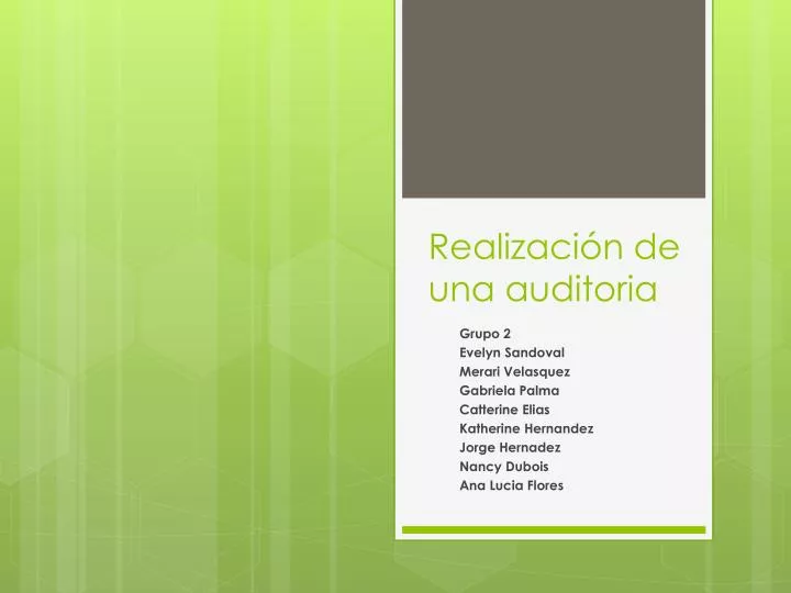 realizaci n de una auditoria