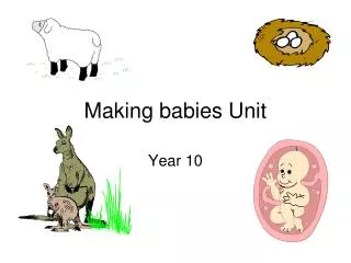 Making babies Unit