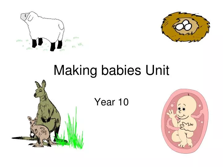 making babies unit