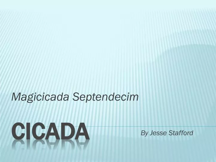 magicicada septendecim by jesse stafford