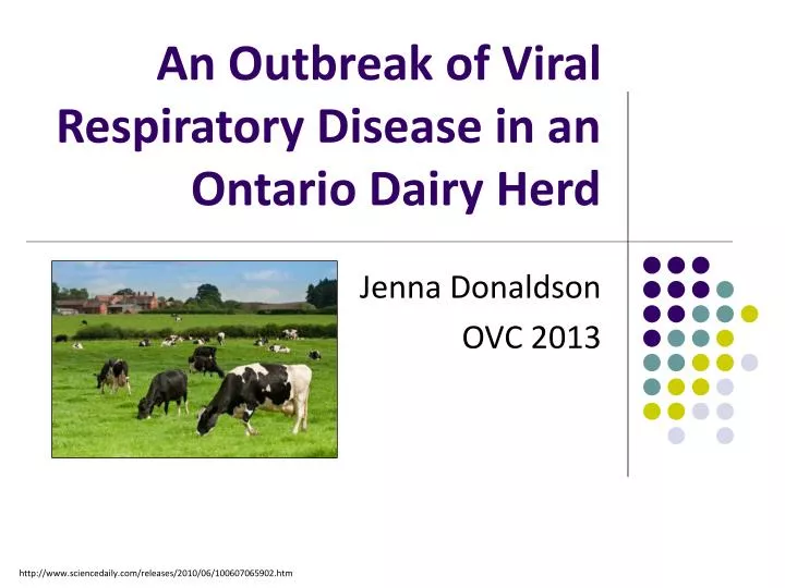 an outbreak of viral respiratory disease in an ontario dairy herd