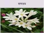 স্বাগতম - slide 1