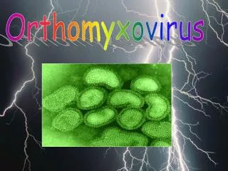 Orthomyxovirus