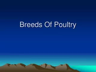 Breeds Of Poultry
