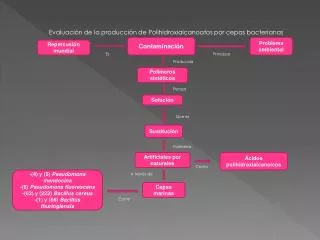 Evaluación de la producción de Polihidroxialcanoatos por cepas bacterianas marinas