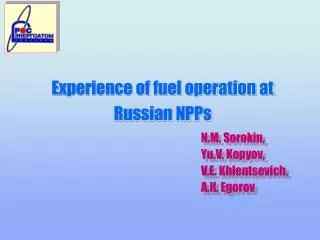 Experience of fuel operation at Russian NPPs
