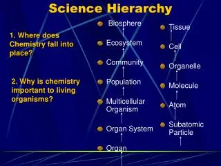Science Hierarchy
