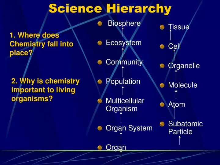 science hierarchy