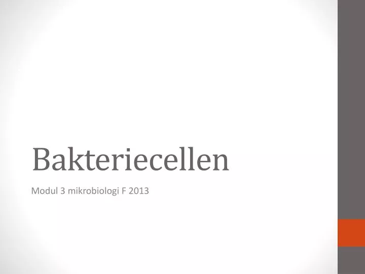 bakteriecellen