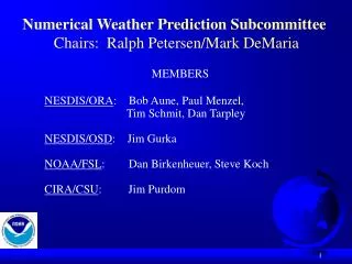 Numerical Weather Prediction Subcommittee Chairs: Ralph Petersen/Mark DeMaria