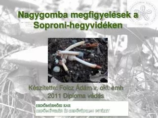 nagygomba megfigyel sek a soproni hegyvid ken