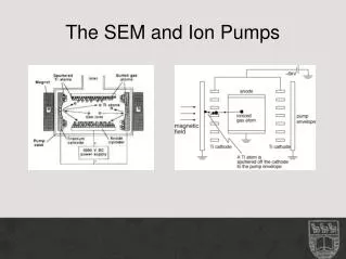 The SEM and Ion Pumps