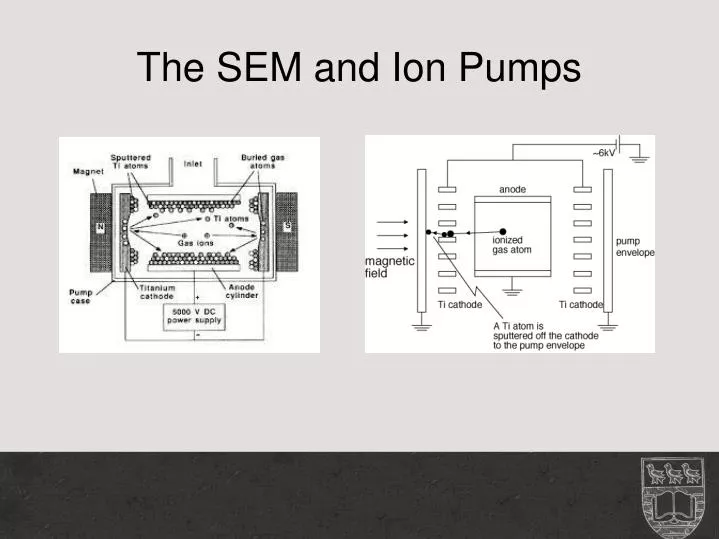 the sem and ion pumps