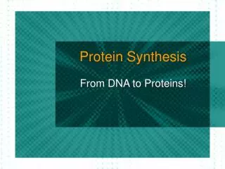 Protein Synthesis