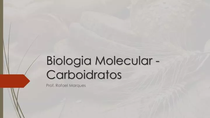 biologia molecular carboidratos
