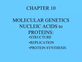 CHAPTER 10 MOLECULAR GENETICS NUCLEIC ACIDS to PROTEINS: