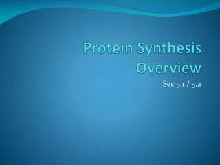 protein synthesis overview