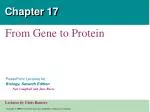 Chapter 17 - slide 1