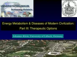 Energy Metabolism &amp; Diseases of Modern Civilization: Part III: Therapeutic Options