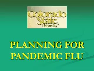 PLANNING FOR PANDEMIC FLU