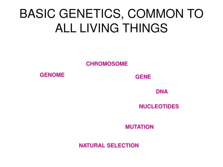 basic genetics common to all living things