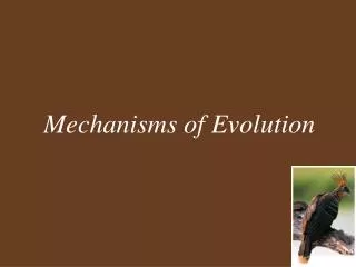 Mechanisms of Evolution