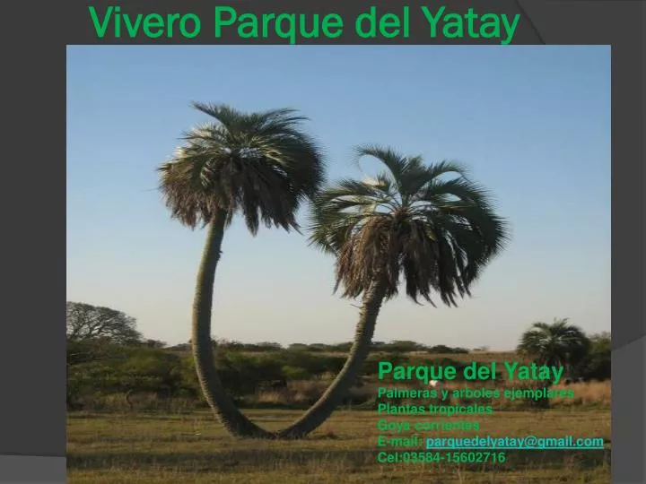 vivero parque del yatay