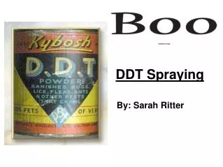 DDT Spraying