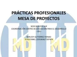 pr cticas profesionales mesa de proyectos