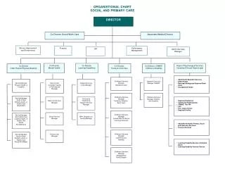 ORGANISTIONAL CHART SOCIAL AND PRIMARY CARE