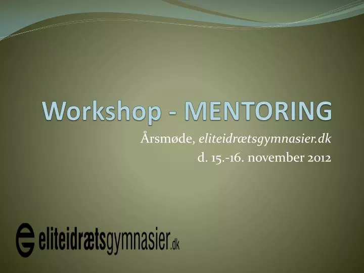 workshop mentoring
