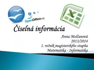 seln inform cia