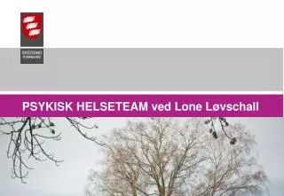 psykisk helseteam ved lone l vschall