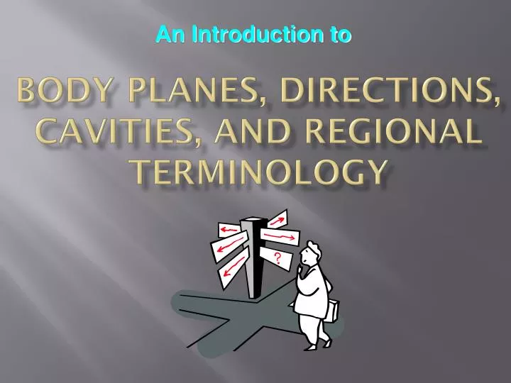 body planes directions cavities and regional terminology