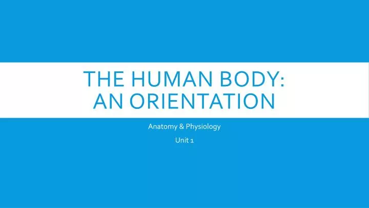 the human body an orientation