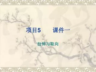 slide1
