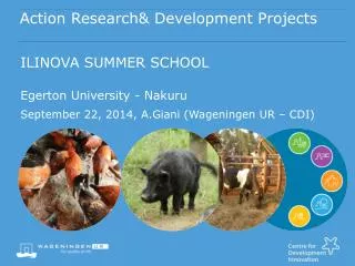 Action Research&amp; Development Projects