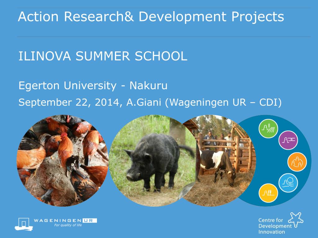 PPT - Action Research& Development Projects PowerPoint Presentation ...