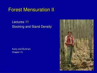 Forest Mensuration II