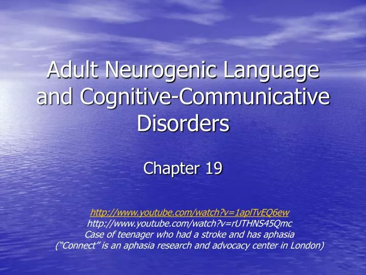 adult neurogenic language and cognitive communicative disorders