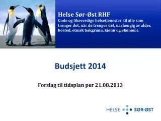 budsjett 2014