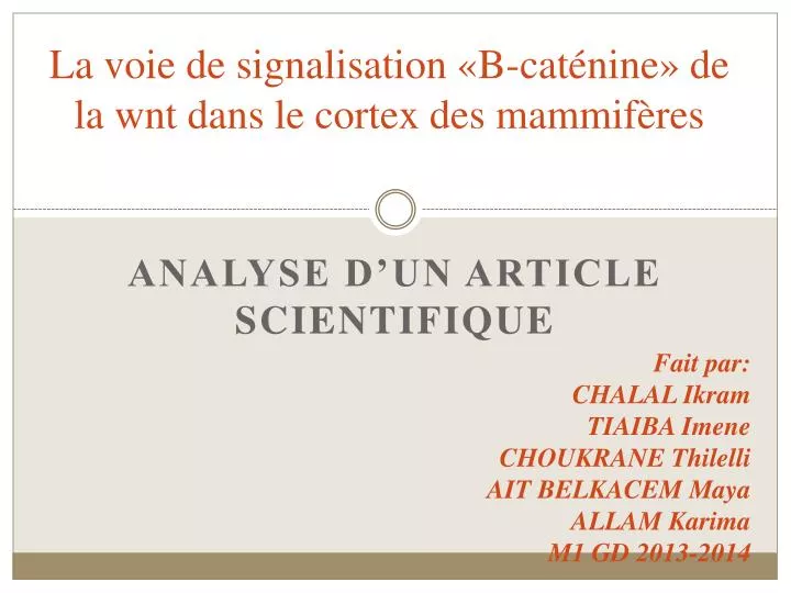 la voie de signalisation b cat nine de la wnt dans le cortex des mammif res