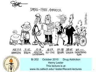 Bi 202 October 2010 Drug Addiction Henry Lester This lecture is at