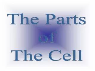 The Parts of The Cell