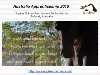 Wisdom Horse Apprenticeship in Australia