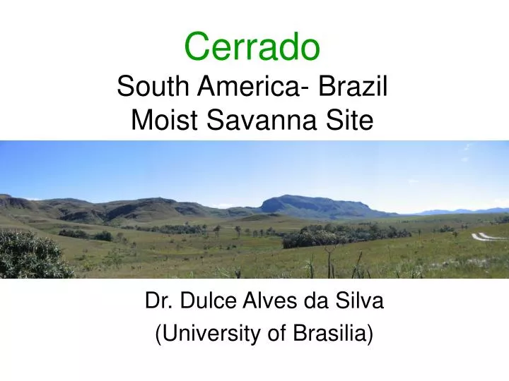 cerrado south america brazil moist savanna site