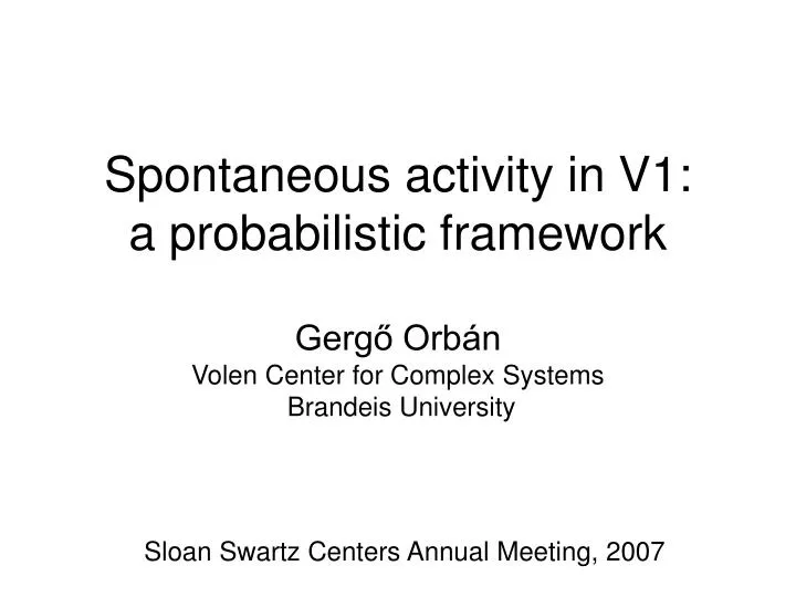 spontaneous activity in v1 a probabilistic framework