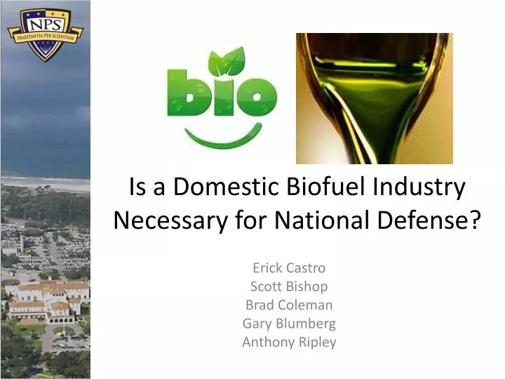 is a domestic biofuel industry necessary for national defense
