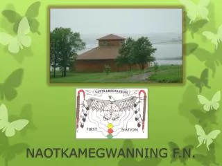 NAOTKAMEGWANNING F.N.