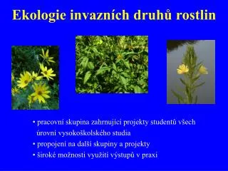 ekologie invazn ch druh rostlin